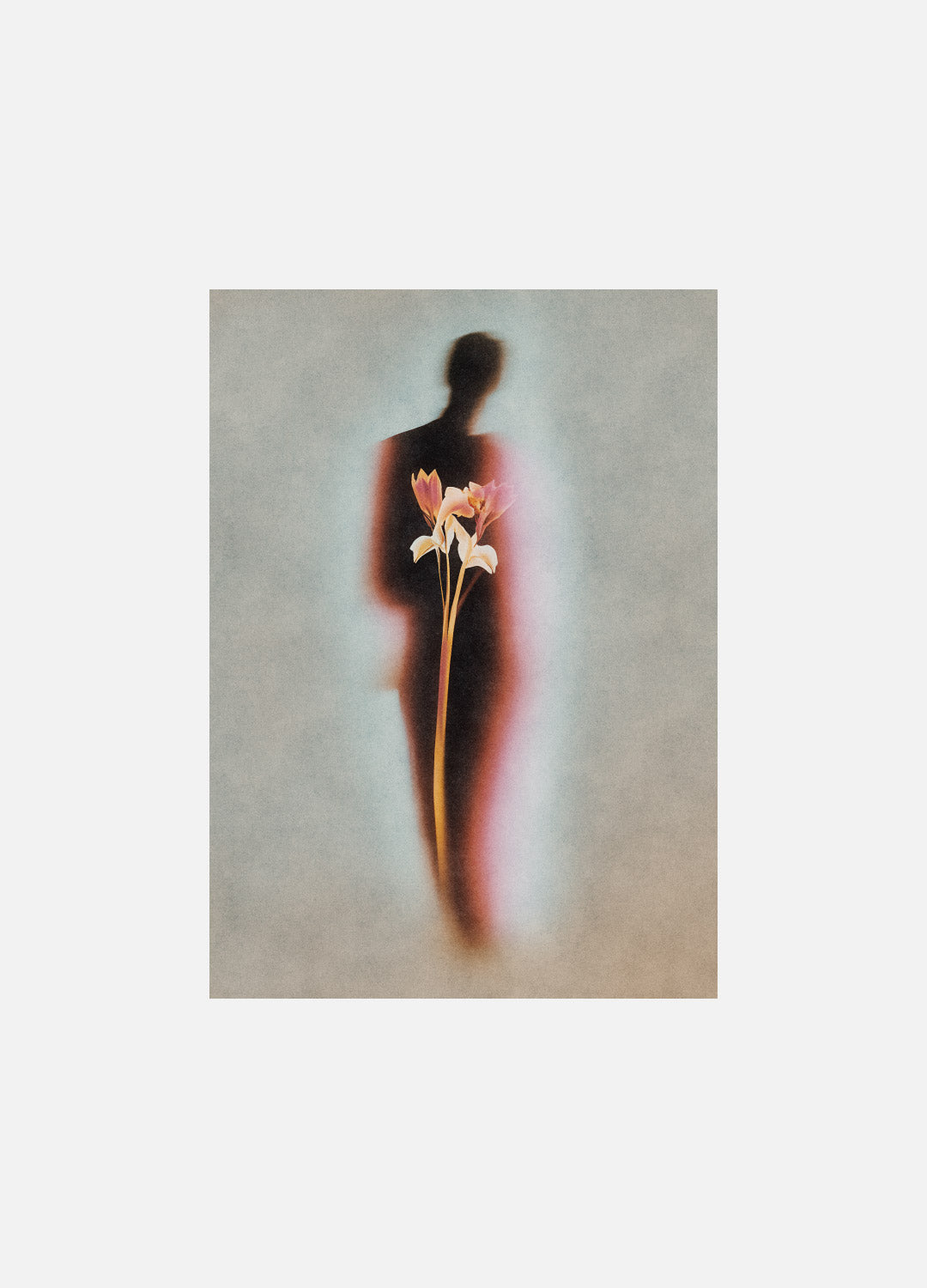 FEVER, NO. 3