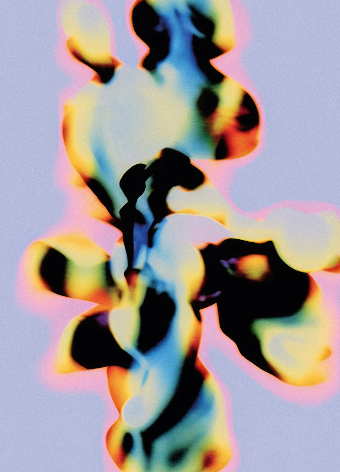 COLORUM MOTUS, NO. 1